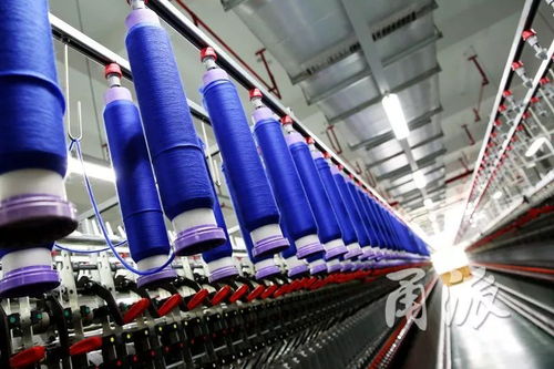 绒耀世界，游启新篇 探秘宁波羊绒巨擘与国内旅游的跨界交响