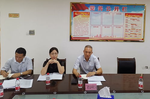 赤坎水质净化厂扩容提质工程减排接驳工作的挑战与机遇 兼论对国内旅游业务的潜在影响